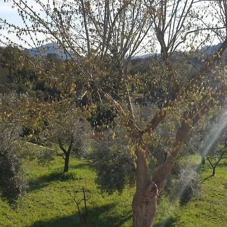شقة Casa Corano *